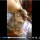 (Photos) Shocking! Video of woman breastfeeding her dog